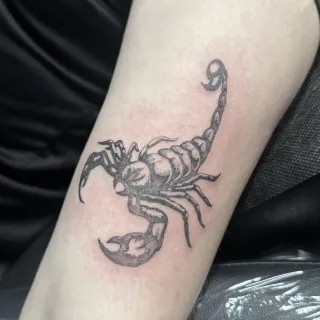 Scorpion